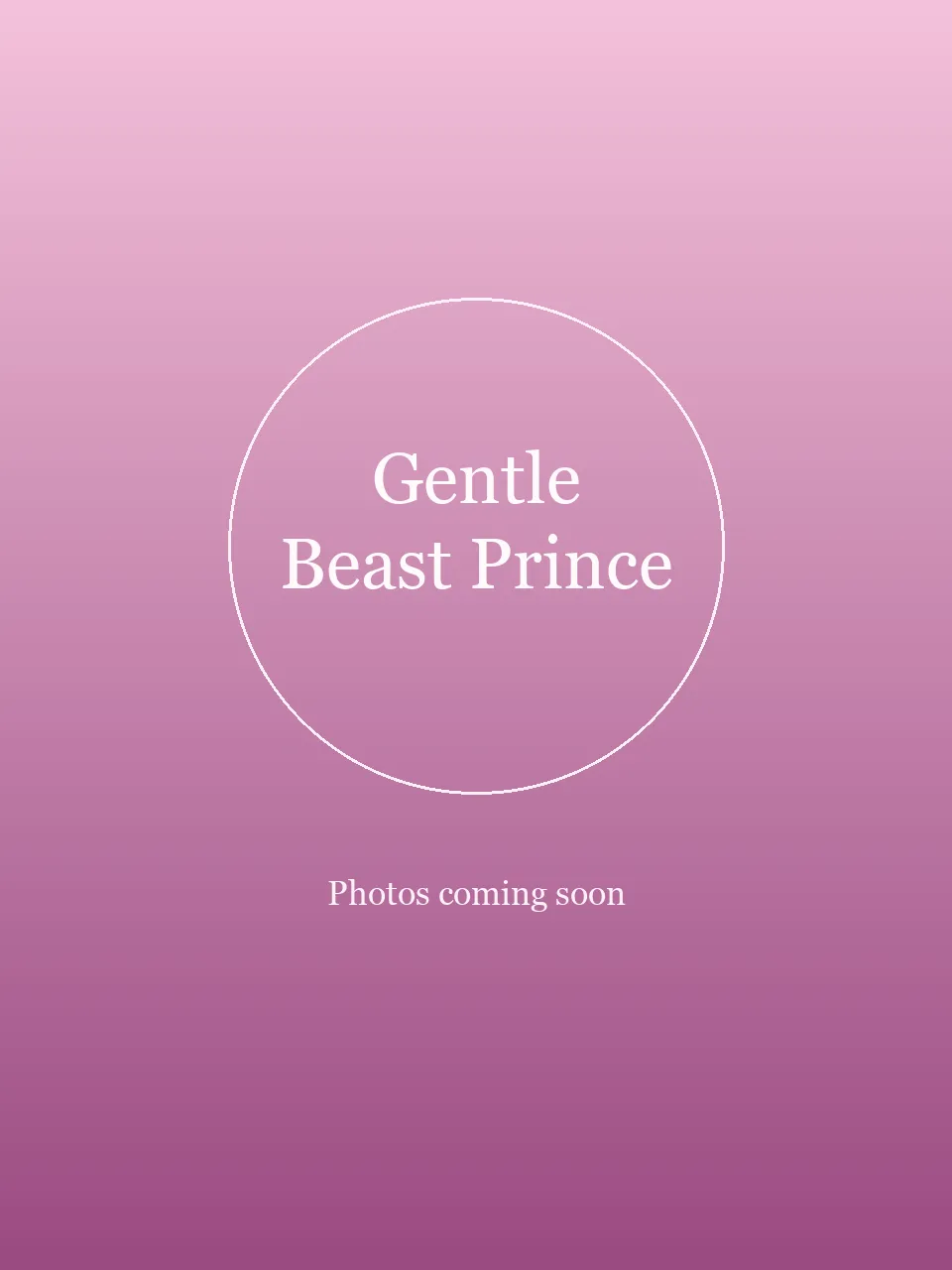 Gentle Beast Prince party character in Cincinnati
