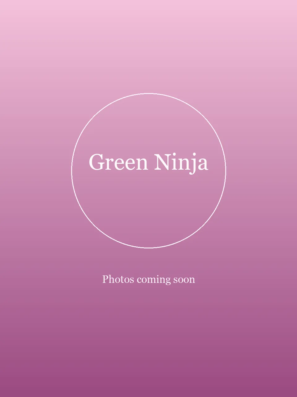 Green Ninja party character in Cincinnati