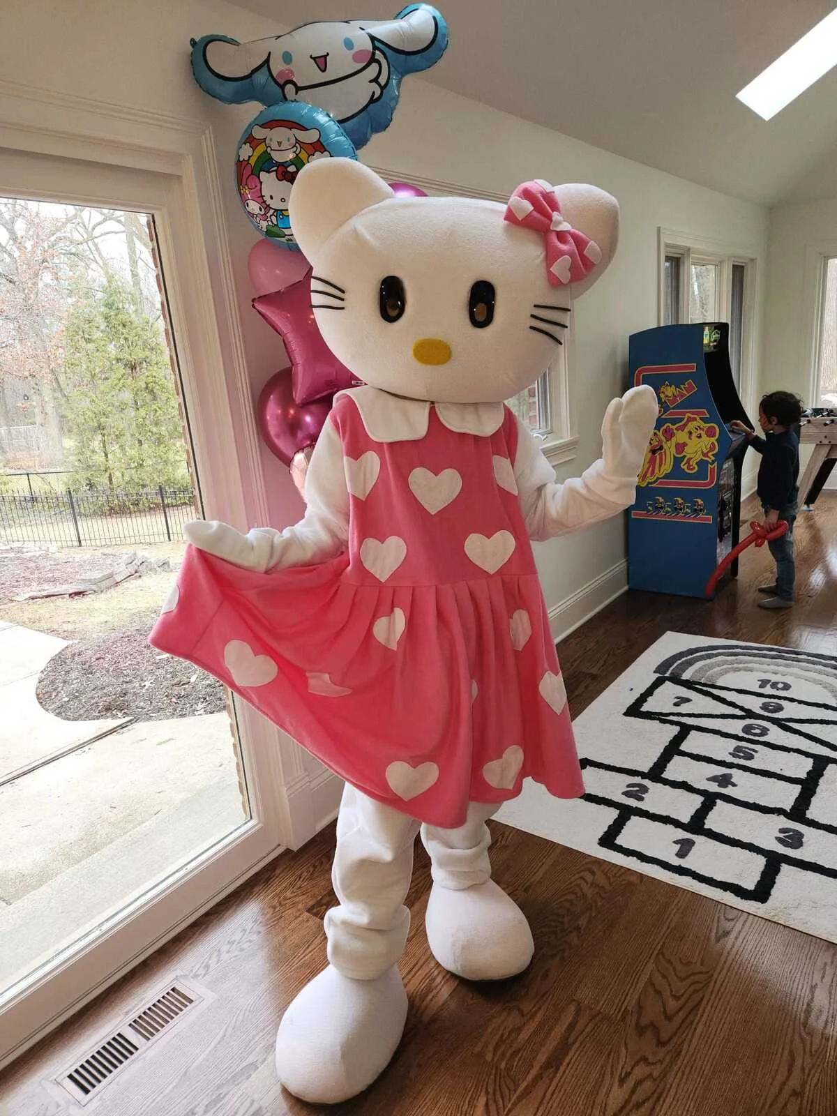 Princess Kitty party character in Cincinnati