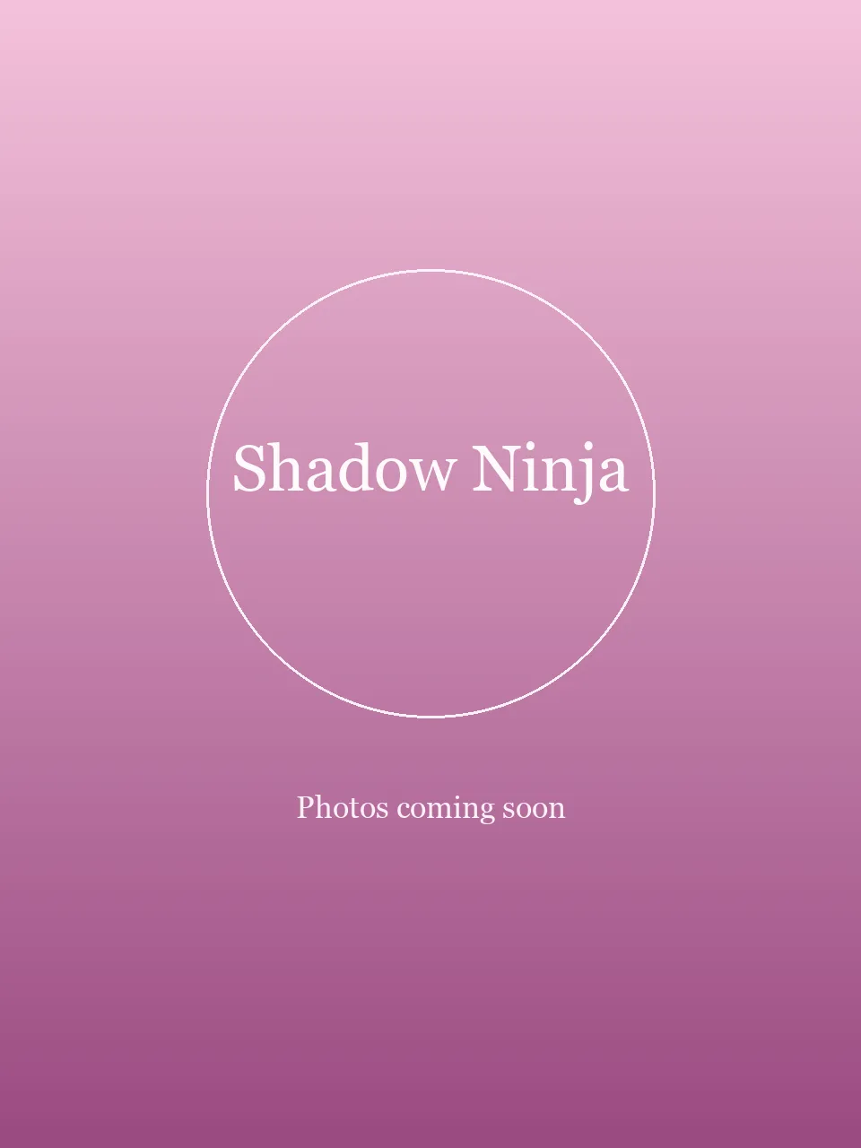 Shadow Ninja party character in Cincinnati