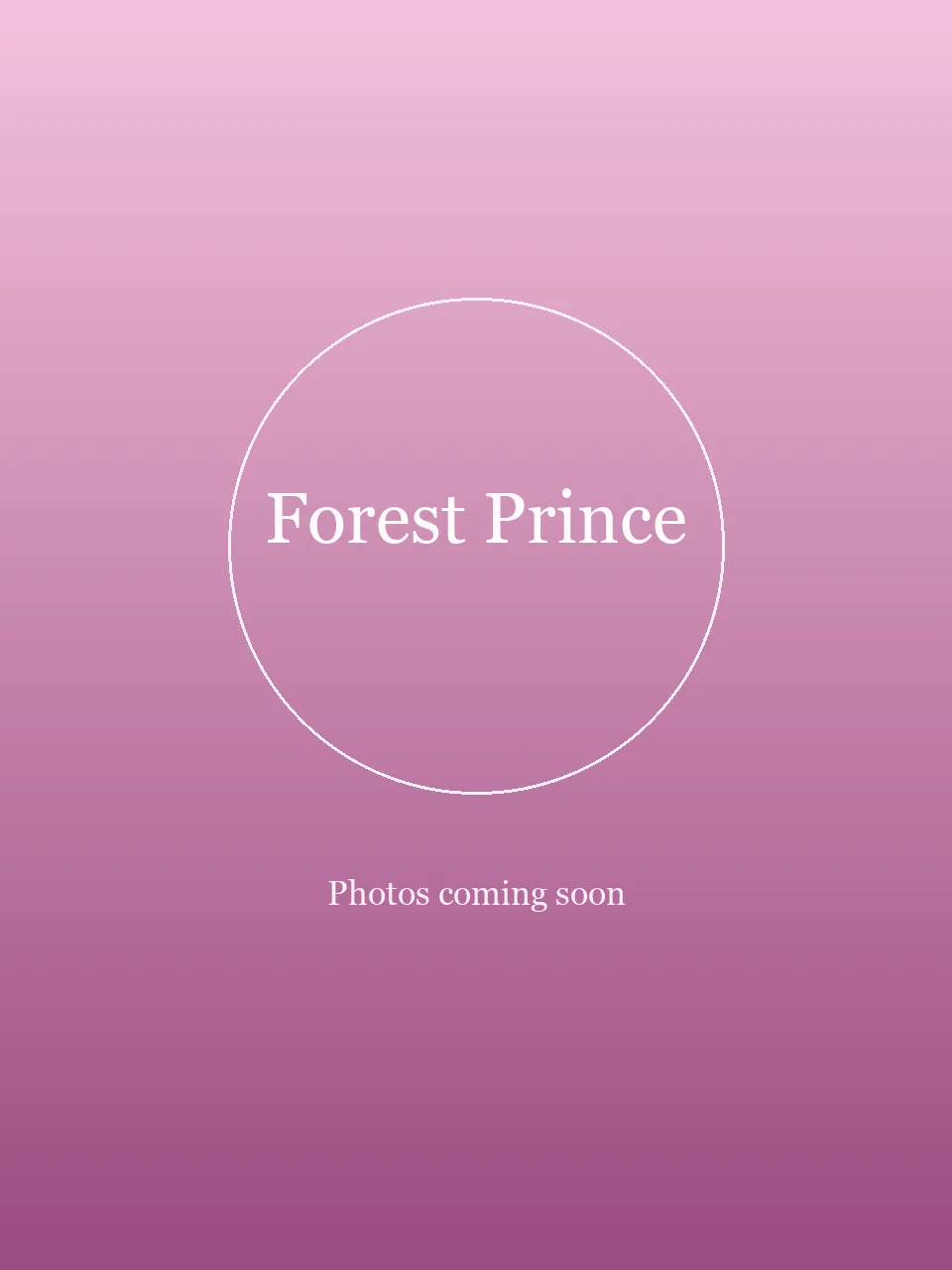 Forest Prince party character in Cincinnati