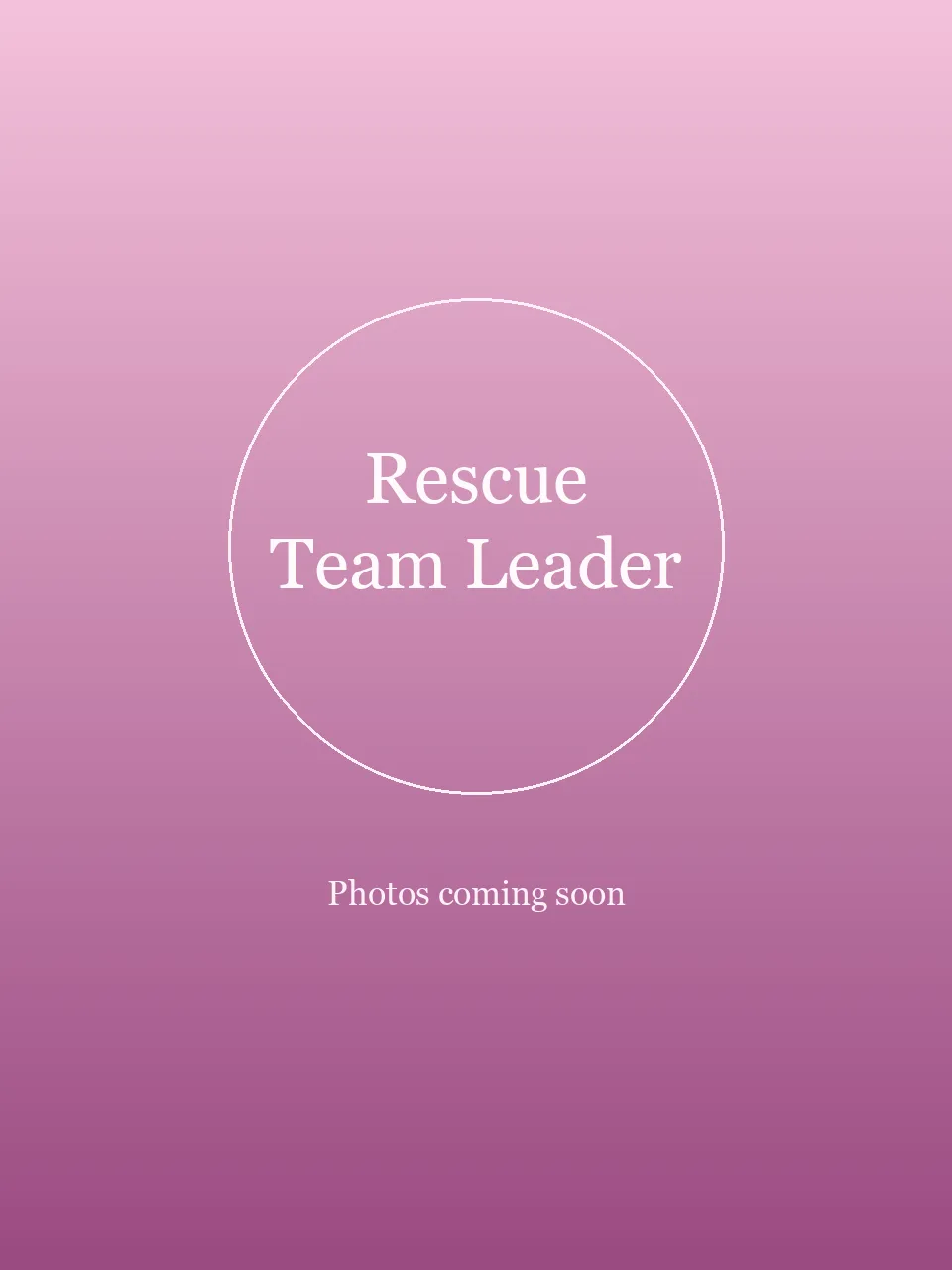 Rescue Team Leader party character in Cincinnati