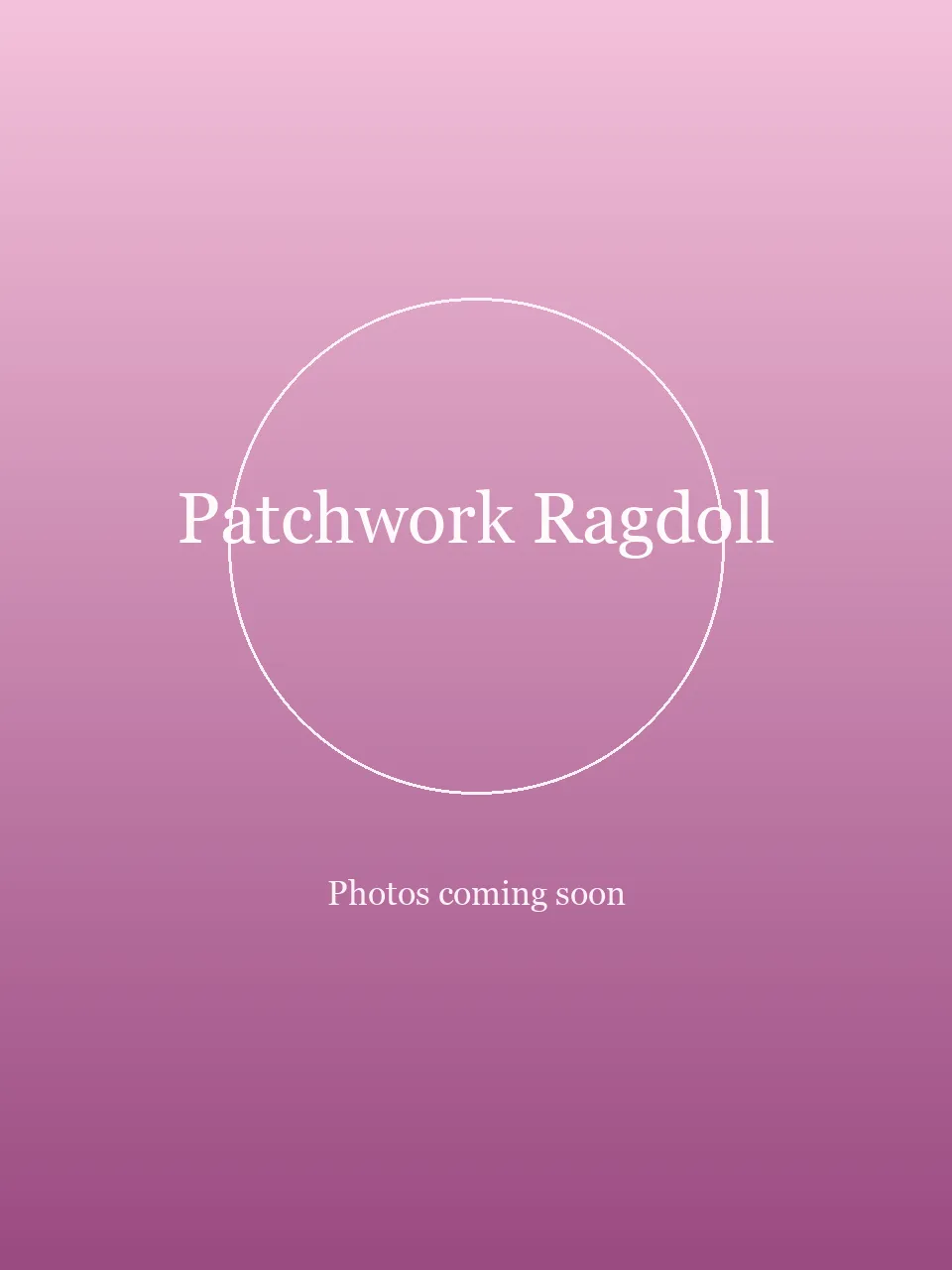 Patchwork Ragdoll party character in Cincinnati